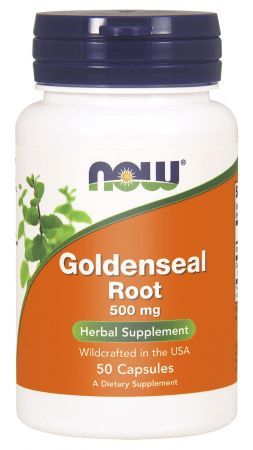 NOW Goldenseal Root (Gorzknik kanadyjski)